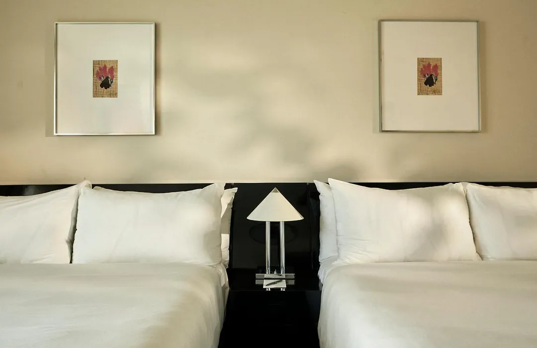 Perroquet Hotel-1